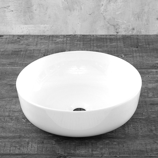 101209 model