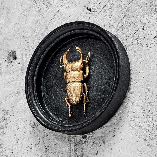 100401 model