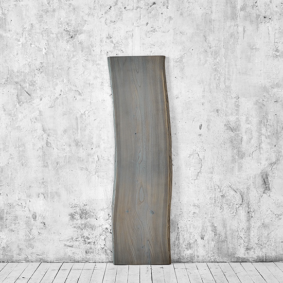 298 model